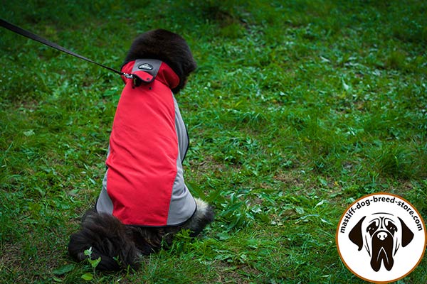 Time-proof nylon Mastiff coat