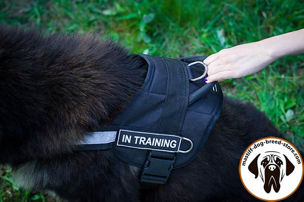 Dog-safe nylon Mastiff harness with easy-grip handle