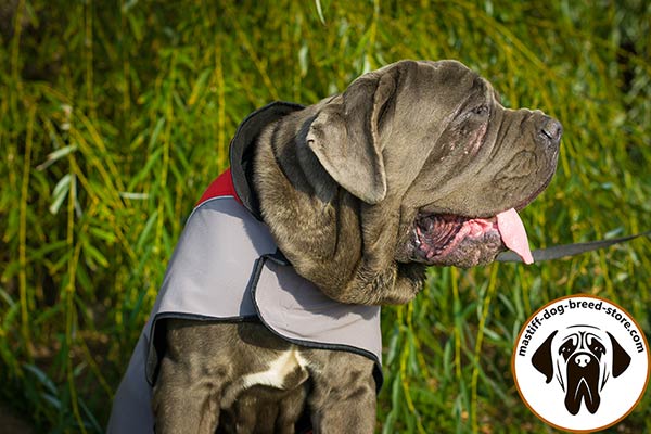 Reliable nylon Mastino Napoletano coat with Velcro closure