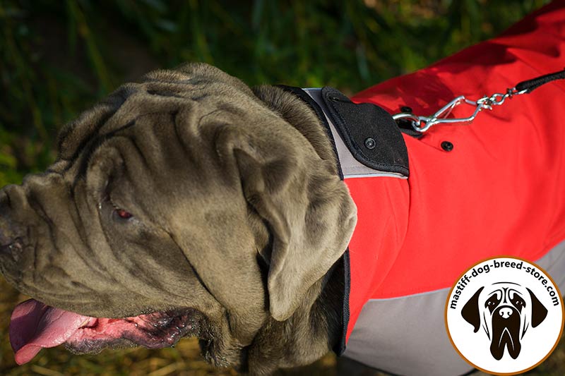 Dog coats for mastiffs outlet