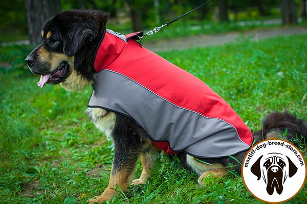 Durable nylon coat for Mastiff