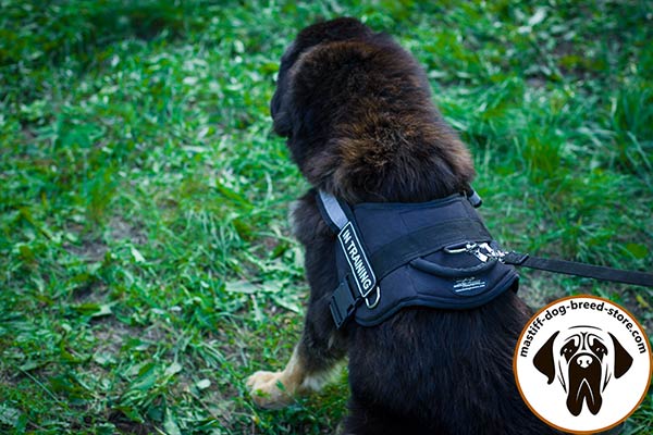 Reliable Nylon Mastiff harness with 3 D-rings for pulling activities