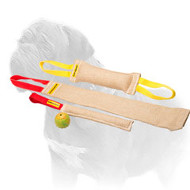 Mastiff Training Set of Strong Jute Tugs with Joyful Gift