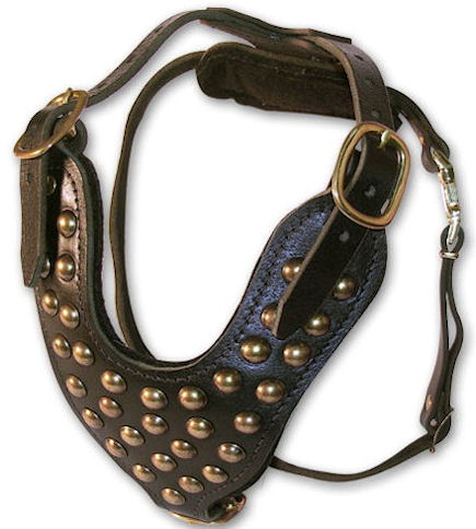 2 Ply Studded Leather Dog Harness for Mastiff