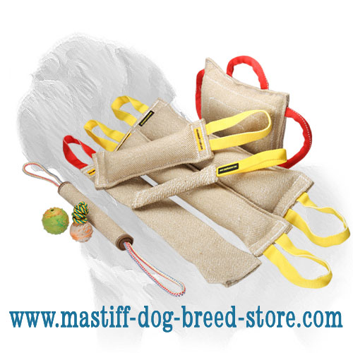 Best Mastiff Training Set (6 items)