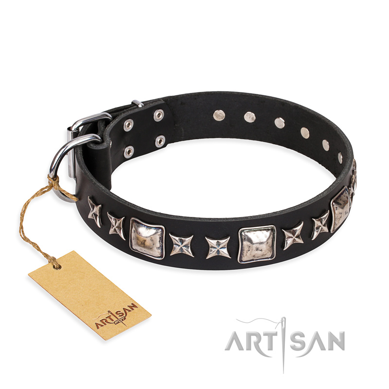 'Space Walk' FDT Artisan Black Leather Dog Collar with Adornments for Mastiff Walking