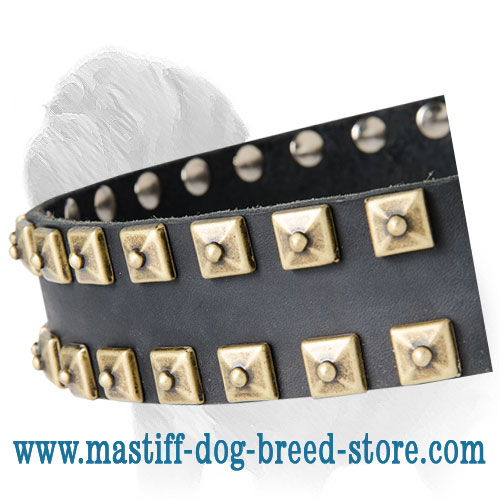 Leather Mastiff Collar with Caterpillar Studs for Daily Walking and Exercising