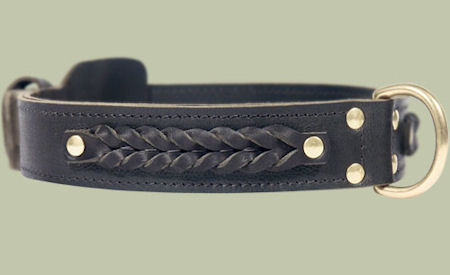Center D-Ring Leather Collar for Mastiff - Click Image to Close