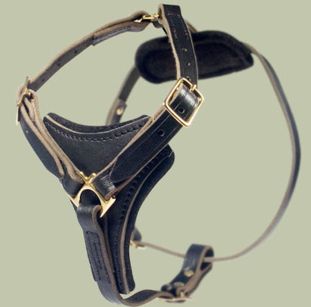 Dog Chest Harness for Mastiff-Leather harness