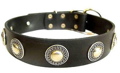 Deluxe Leather Dog Collar with jewelry for Mastiff