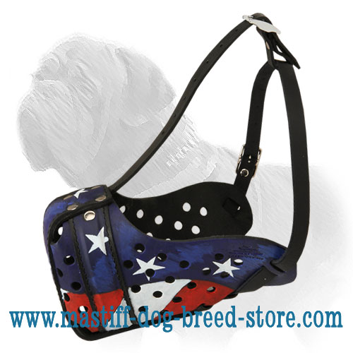 Argentinian Mastiff Leather dog muzzle "Dondi"-plus style