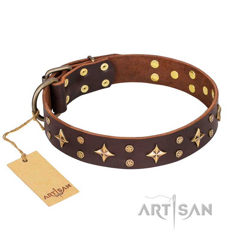 'High Fashion' FDT Artisan Embellished Brown Leather Mastiff Collar