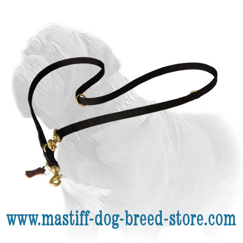 Practical in Use Nylon Mastiff Dog Leash