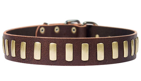 Similar Dream Weaver Leather Dog collar 3/4" for Mastiff