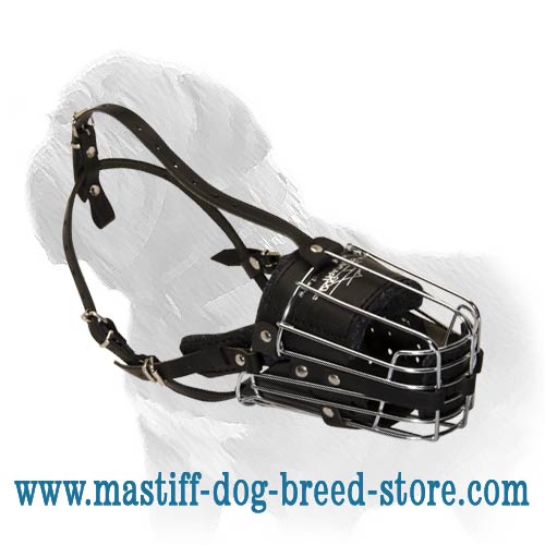 Maximally Comfortable, Safe and Reliable Mastiff Dog Muzzle for any Occasion