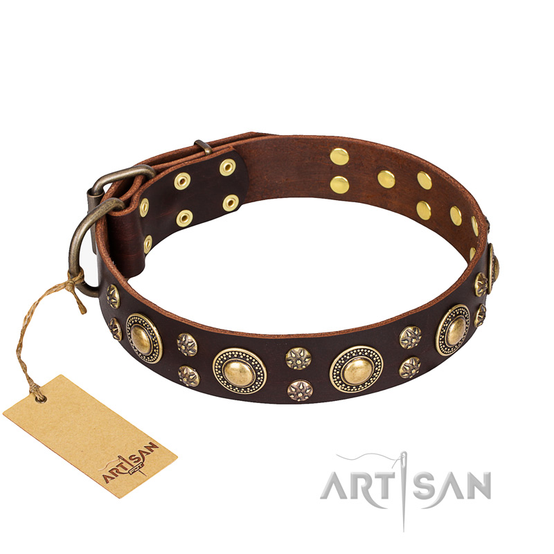 'Flower Melody' FDT Artisan Brown Leather Dog Collar with Mixed Studs for Walking with Mastiff
