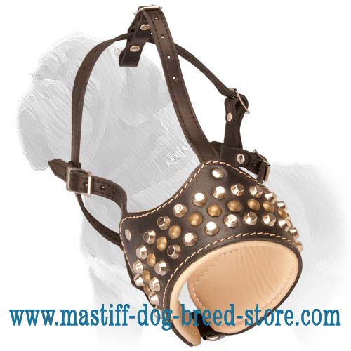 Comfortable Leather Dog Muzzle with Gorgeous Brass Decorative Sruds for Mastiff Dogs