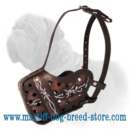 Awesome Hand Painted Leather Muzzle for Mastiff Breeds