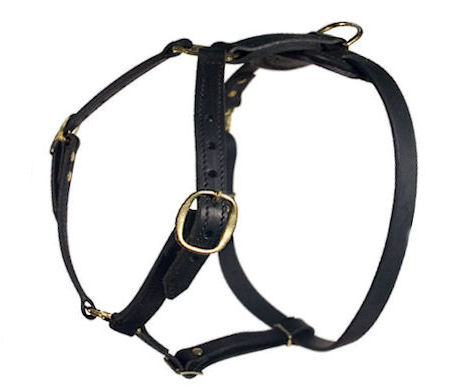 High Quality Collection Dog Harness similar petsmart for Mastiff