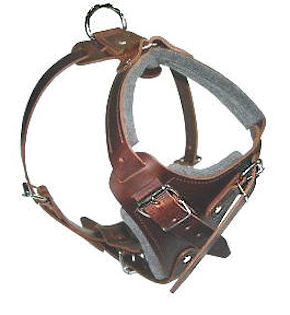 SIMILAR to Gappay Leather Defense Harness for Mastiff