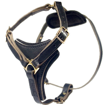 Latigo Adjustable Harness-Mastiff Leather Harness