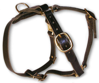Latigo Leather Non-Padded Tracking Harness for Mastiff