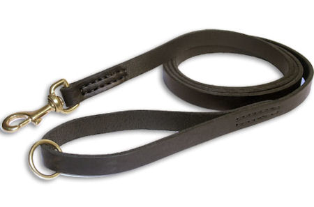 Leather Rescue Leash 3/4 inch on 6 FOOT for Mastiff
