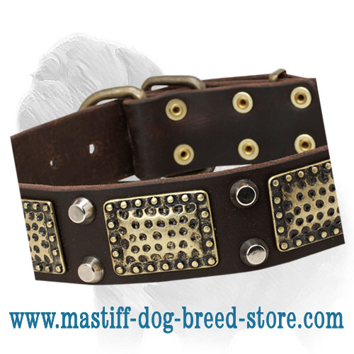 'Monarch' Mastiff Dog Collar