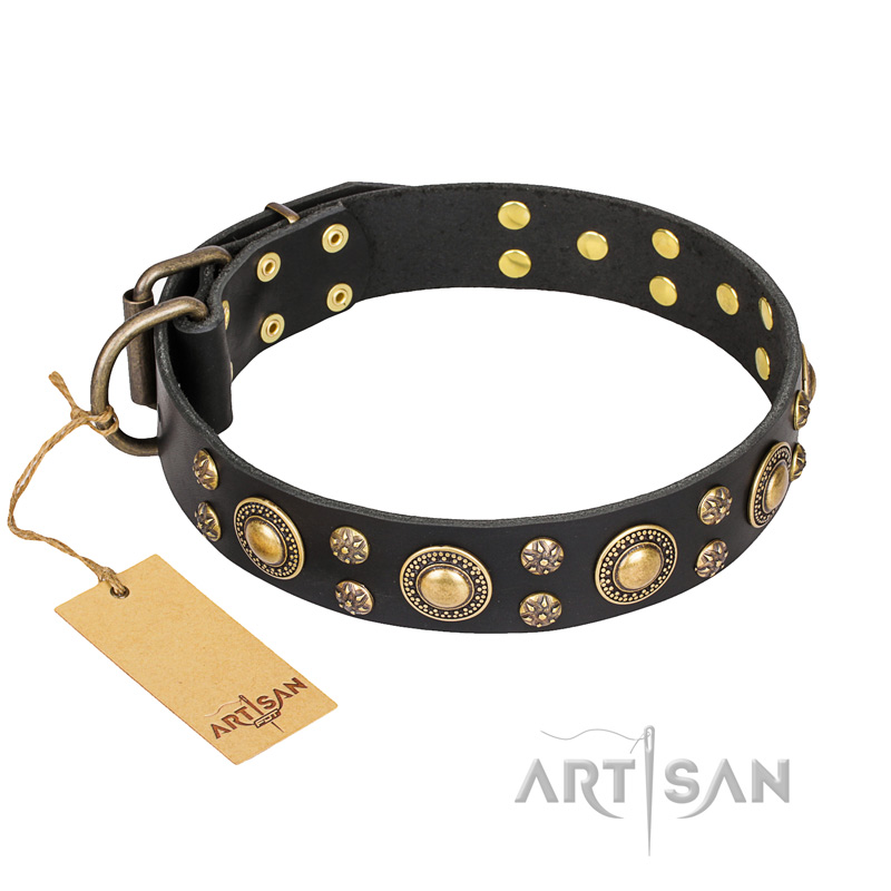 'Baroque Chic' FDT Artisan Studded Black Leather Mastiff Dog Collar