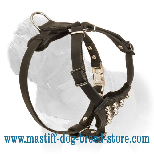 Studded Mastiff Dog Harness for Safe Walks