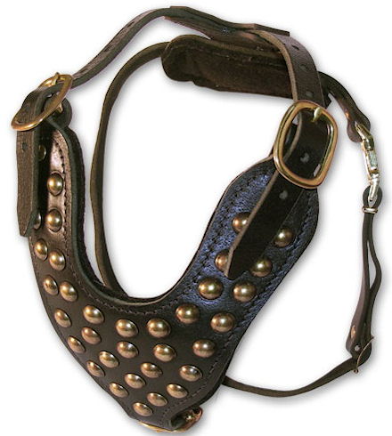 MASTIFF Studded Leather Dog Harness -H15