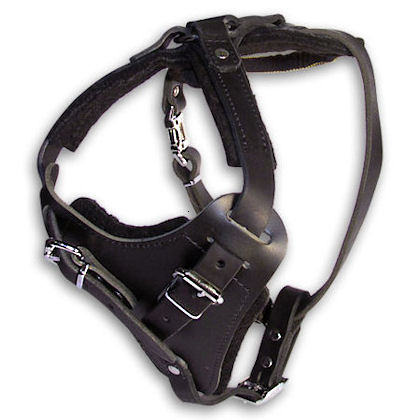 MASTIFF Control Dog Harness - H1