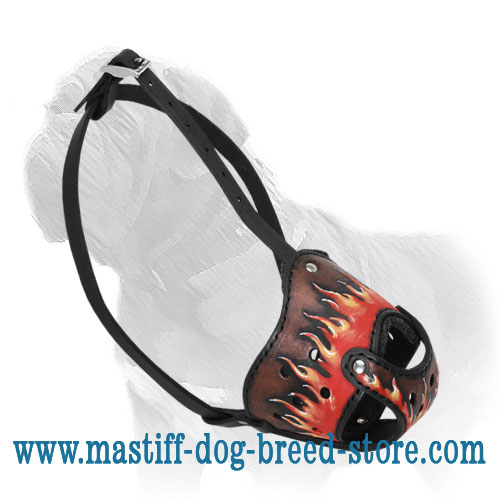 Stylish High-quality Mastiff Muzzle