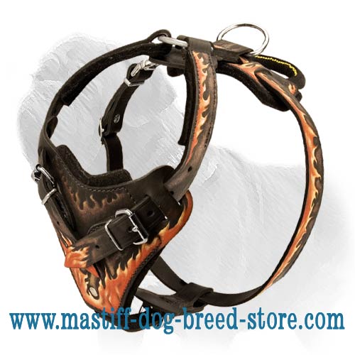 Mastiff Leather Harness for Professional Attack Training and Daily Walks