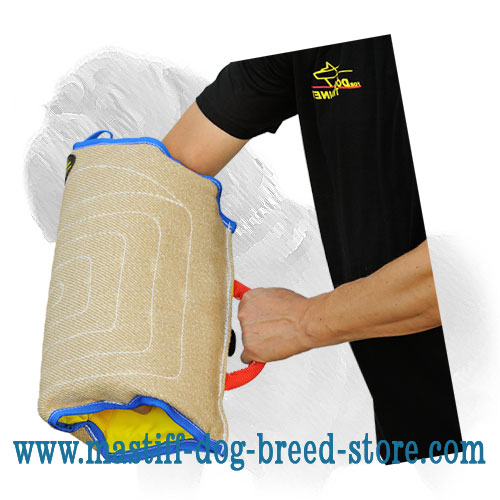 Excellent Mastiff Puppy Sleeve for Successful Training