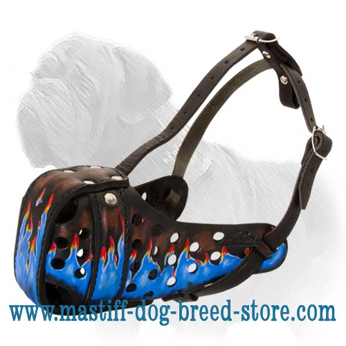 Mastiff Agitation Muzzle - Hand Painted with Non-Toxic natural Paints