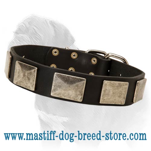 Handcrafted Leather Dog Collar With Vintage Nickel Massive Plates