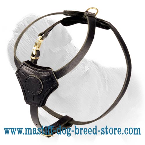 Best Harness for Mastiff Puppy - Free Movements and Comfort