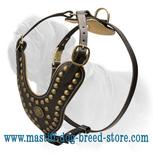 Royal Mastiff Harness with Brass Studs and Nappa Leather Padding