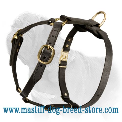 Fantastic Light Weight Leather Mastiff Harness - Click Image to Close