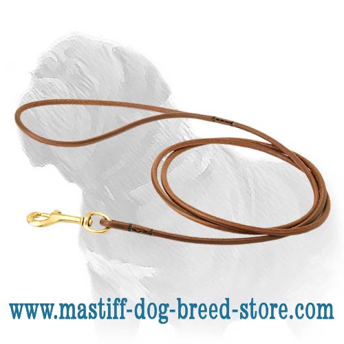 Fantastic Leather Mastiff Leash for Dog Shows