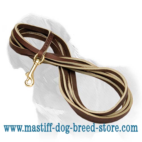 High Quality Long Leather Canine Leash for Multi Activity of Your Mastiff - Click Image to Close