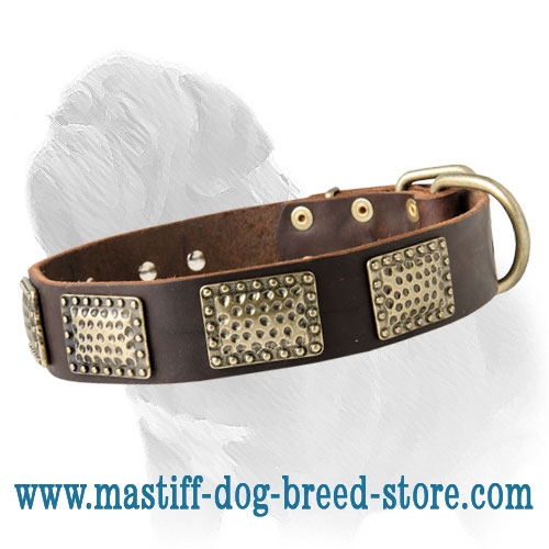 Adjustable Leather Dog Collar with Brass Curved Vintage Plates for Mastiff Breed Walking and Training