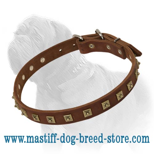 Beautiful Thin Leather Dog Collar with Studs for Mastiff Daily Walks and Professional Workout