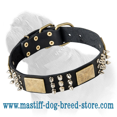Leather Dog Collar with Spikes, Studs and Plates Mastiff Training/Walking