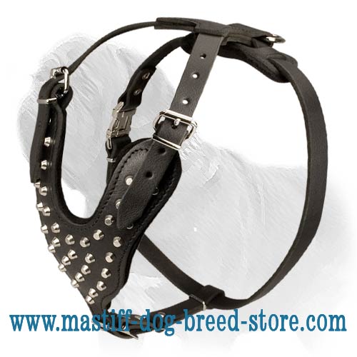Mastiff Studded Leather Dog Harness with Pyramids