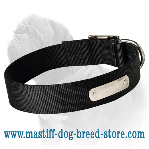 Reliable and Gorgeous Nylon Dog Collar with Name Tag for Mastiff Breed