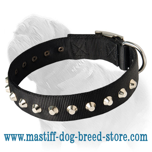 Training Nylon Mastiff Collar With Piramids