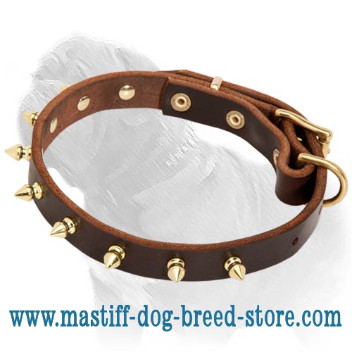 Fashionable Leather Dog Collar with Brass Spikes for Mastiff Walking - Click Image to Close