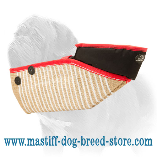 Beginner Mastiff Dog Training Sleeve for Puppies